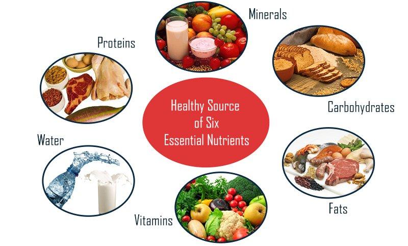 🥗 Essential Nutrients Your Body Needs Every Day
